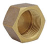 TAPAGORRO BRONCE HI